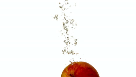 manzana roja sumergiéndose en el agua sobre un fondo blanco
