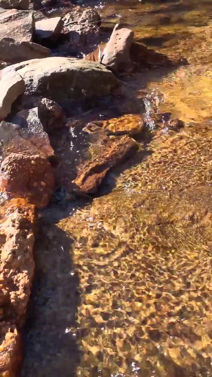 La luce del sole scintilla sull'acqua bassa e limpida che scorre su letti di ruscello rocciosi a Wentworth Falls, Australia