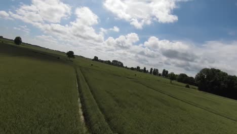 Vuelo-De-Drones-Sobre-Un-Campo-Con-Un-árbol