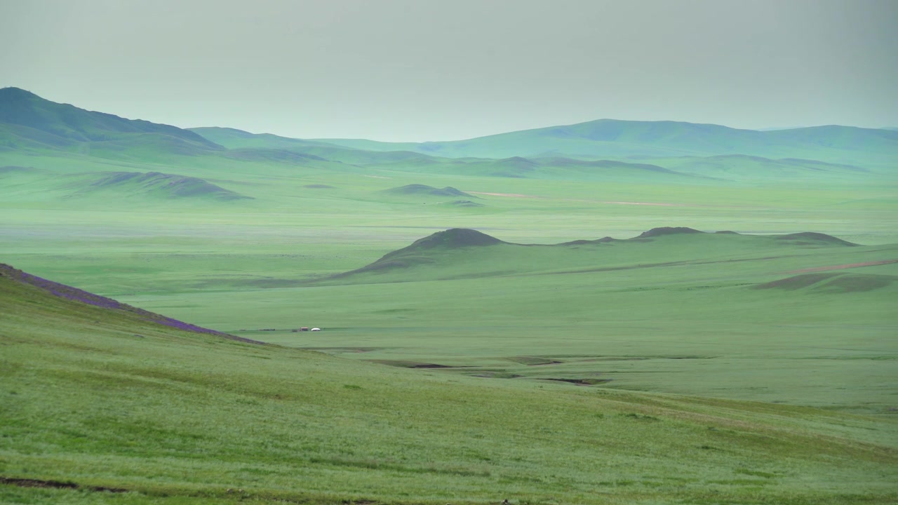 Panoramaudsigt over den vidtstrakte grønne mongolske steppe og bølgende bakker