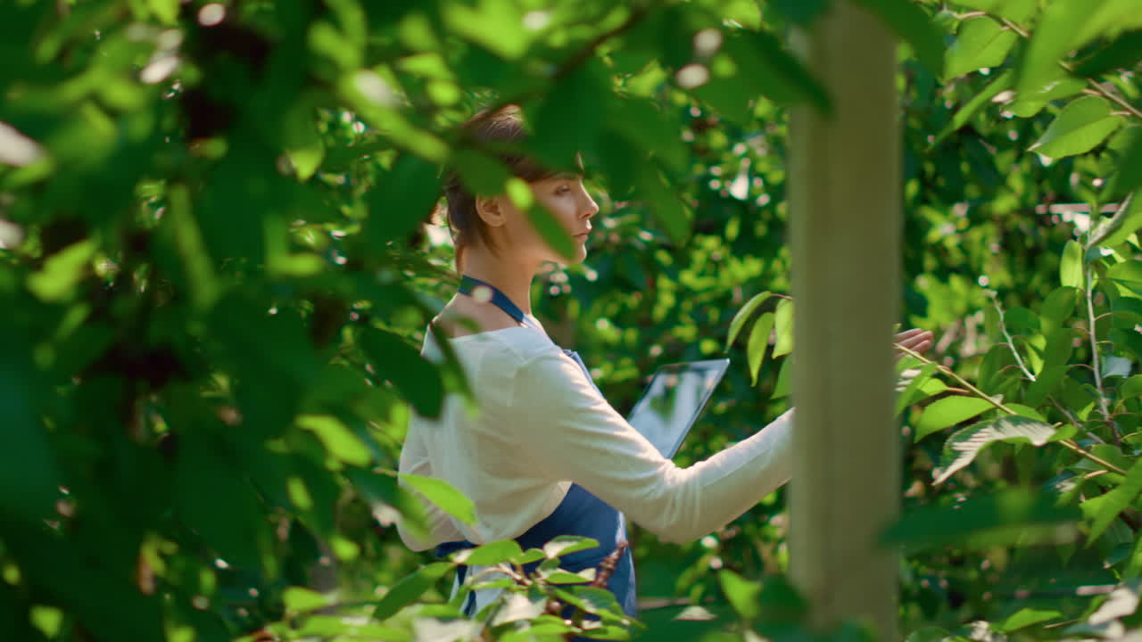 농장에서 자연 나무의 품질을 제어하는 장치를 가진 농업 사업주