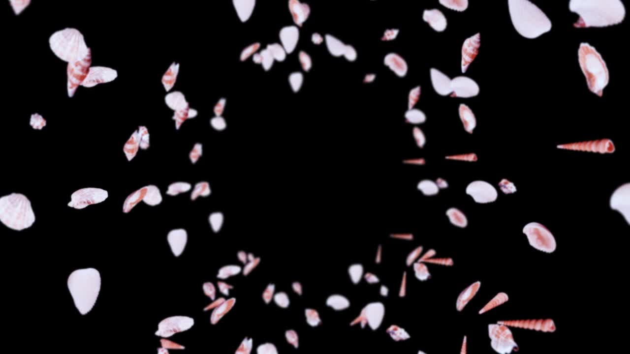 검은 바탕에 많은 바다 데기를 날아. 현실적인 조개 모양의 컬렉션. 열대 수중. 회전하는 데기의 3d 루프 애니메이션.