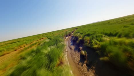 fpv drone shot following a narrow green ditch winding through emerald green wetlands underneath a beautiful blue summer sky