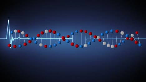 DNA-Doppelhelix-Und-Herzfrequenz