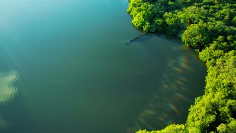 Wide-aerial-shot-of-rusty-leaking-pipe-running-into-lake-surrounded-by-mangroves,-dumping-sewage