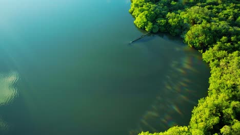 wide aerial shot of rusty leaking pipe running into lake surrounded by mangroves, dumping sewage