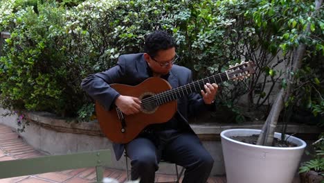 shot of guitarrist during a concert at a garden in south mexico city