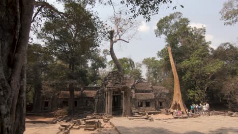 la toma panorámica revela a los turistas caminando hacia el templo abandonado de la jungla de ta prohm en camboya