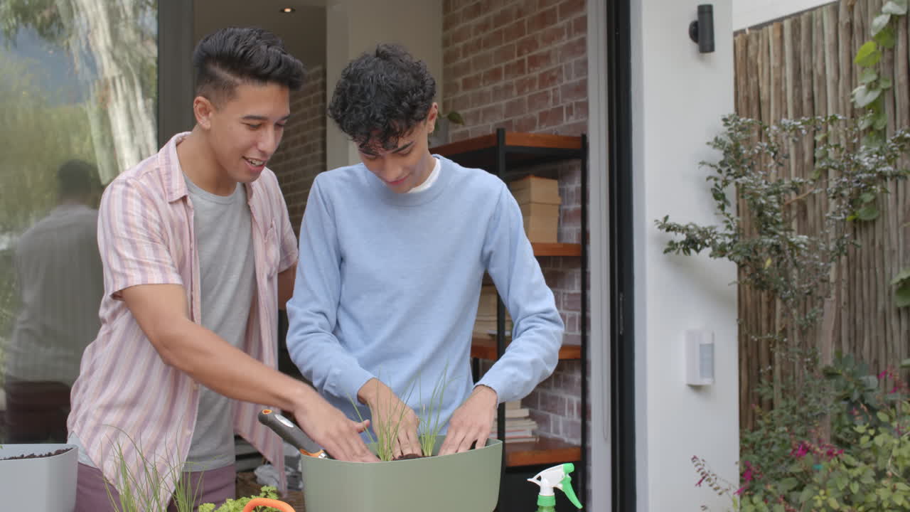 Planting herbs in pot, multiracial gay couple gardening together on patio