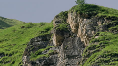 bärtiger geier sitzt auf dem berg. panorama-aufnahme.