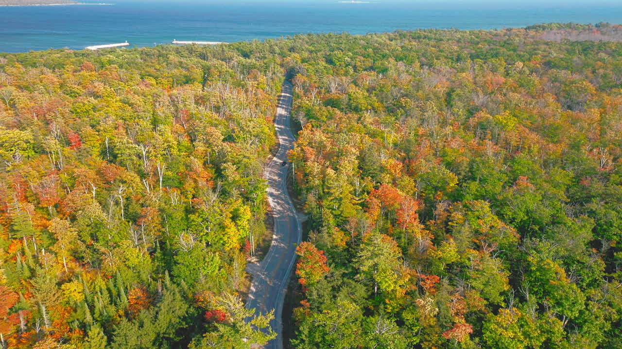 A narrow road winds through a canopy of red, orange, and green trees, stretching toward the blue expanse of a nearby lake shimmering in the crisp autumn sun