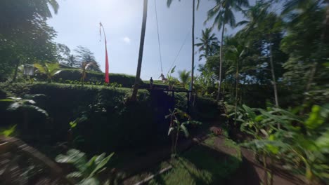 fpv drone shot between tropical palm trees to a blond woman swinging on a swing set