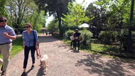 people walking and interacting in a park