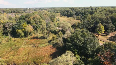 trees covering a local cemetery from the air