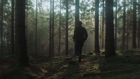 hombre caminando en el bosque nórdico temprano en la mañana