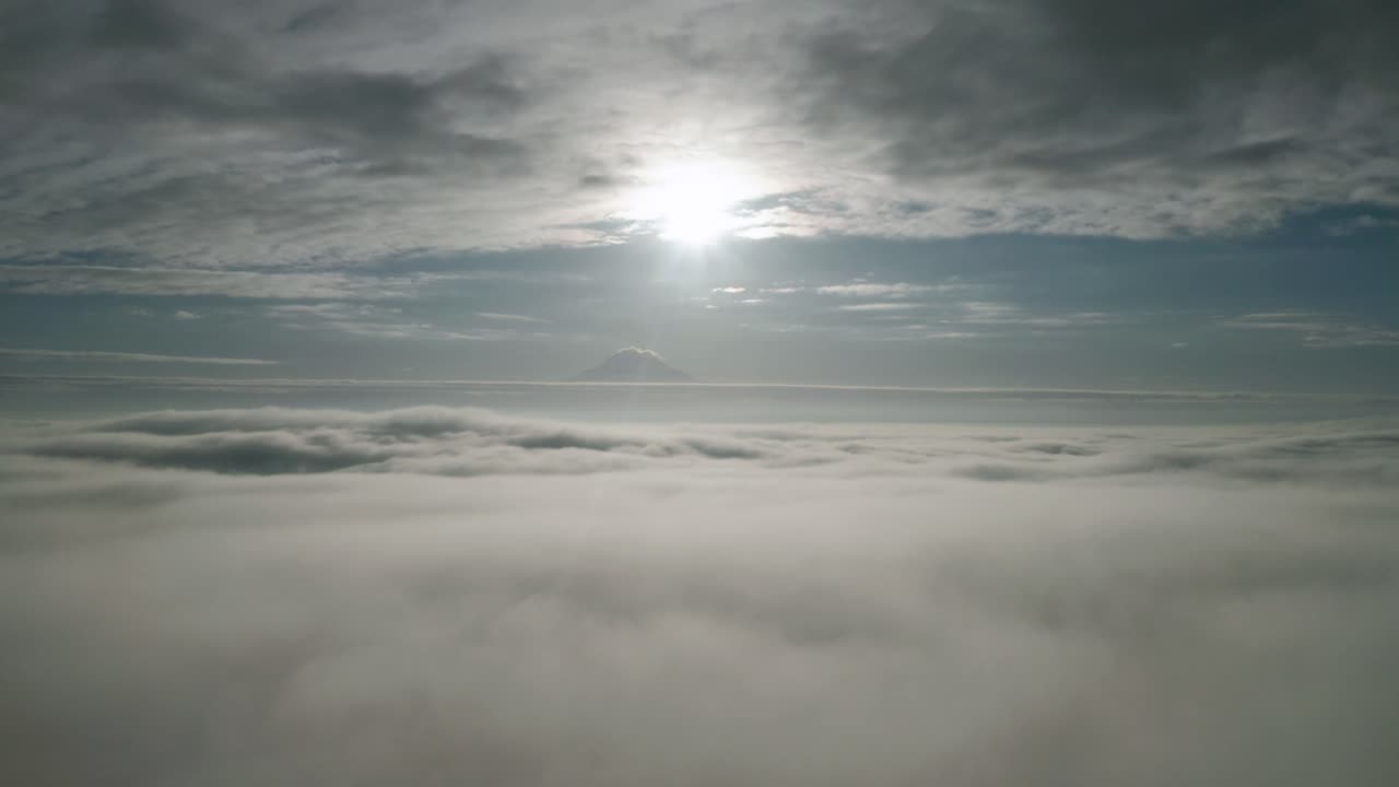 밝은 햇살 아래 하늘을 날아