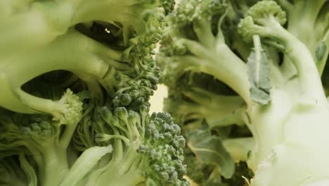 macro probe panning shot of green broccoli on yellow background