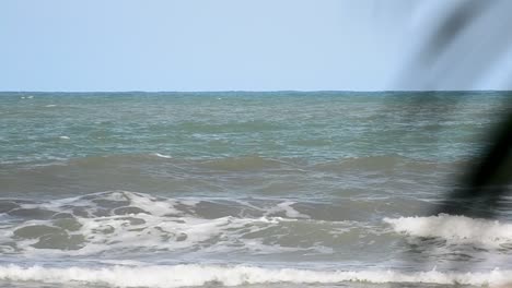 The-rough-Caribbean-sea-on-a-sunny-day-with-waving-palm-fronds-in-the-bokeh-foreground