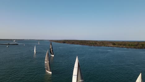 reveladora vista desde un dron de un grupo de veleros navegando por el agua a la luz de la tarde