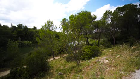 Abandoned-path-alongside-lake-in-urban-park