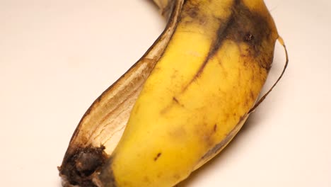 rotten banana spinning on a white background spoil 4k 2025 08 04 05 32 02 utc.mov | aging, background, bad, banana