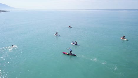 people stand-up paddleboarding in the ocean