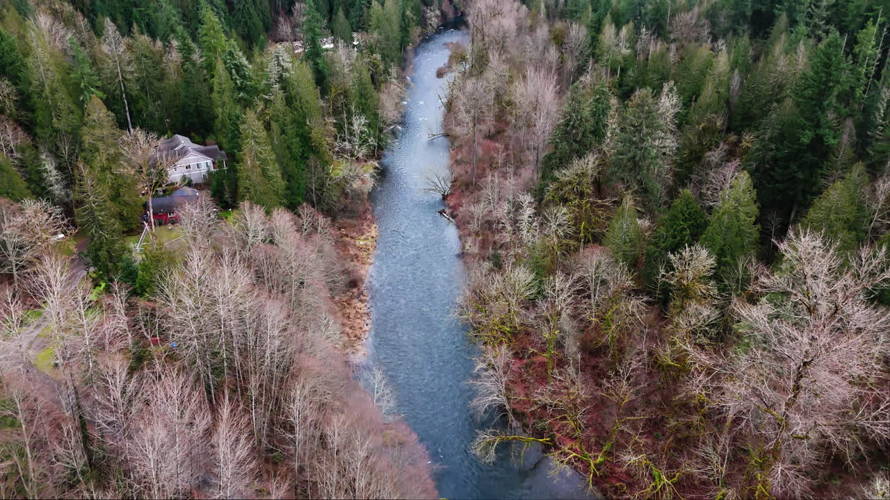 ojo de pájaro del noroeste del pacífico vista aérea del tranquilo río cedar en el bosque del estado de washington