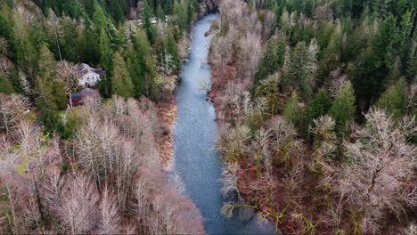 pacific northwest bird's eye aerial view of calm flowing cedar river in forest in washington state