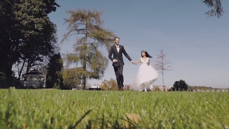 una pareja de bodas, un novio y una novia encantadores, una familia feliz, un hombre y una mujer enamorados.