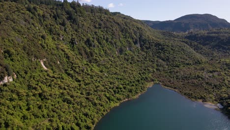 Increíble-Plataforma-Rodante-Aérea-Que-Muestra-La-Vista-Del-Exuberante-Bosque-Denso-Que-Rodea-El-Lago-Tarawera,-Nueva-Zelanda