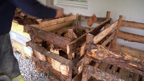 European male throwing chopped up firewood into pallet for storage and drying to prepare for winter