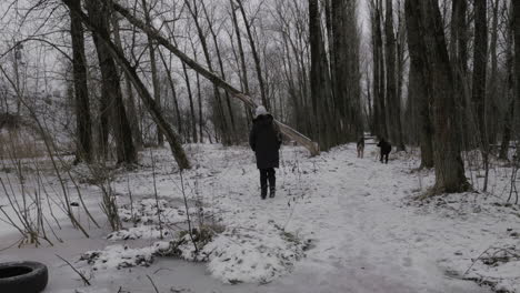 Woman-and-stray-dogs-in-winter-park