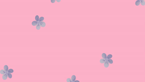 Animation-of-multiple-blue-flowers-moving-over-pink-background