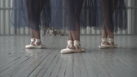 ballet dancers in pointe