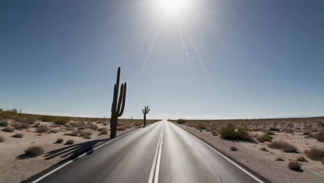 carretera del desierto