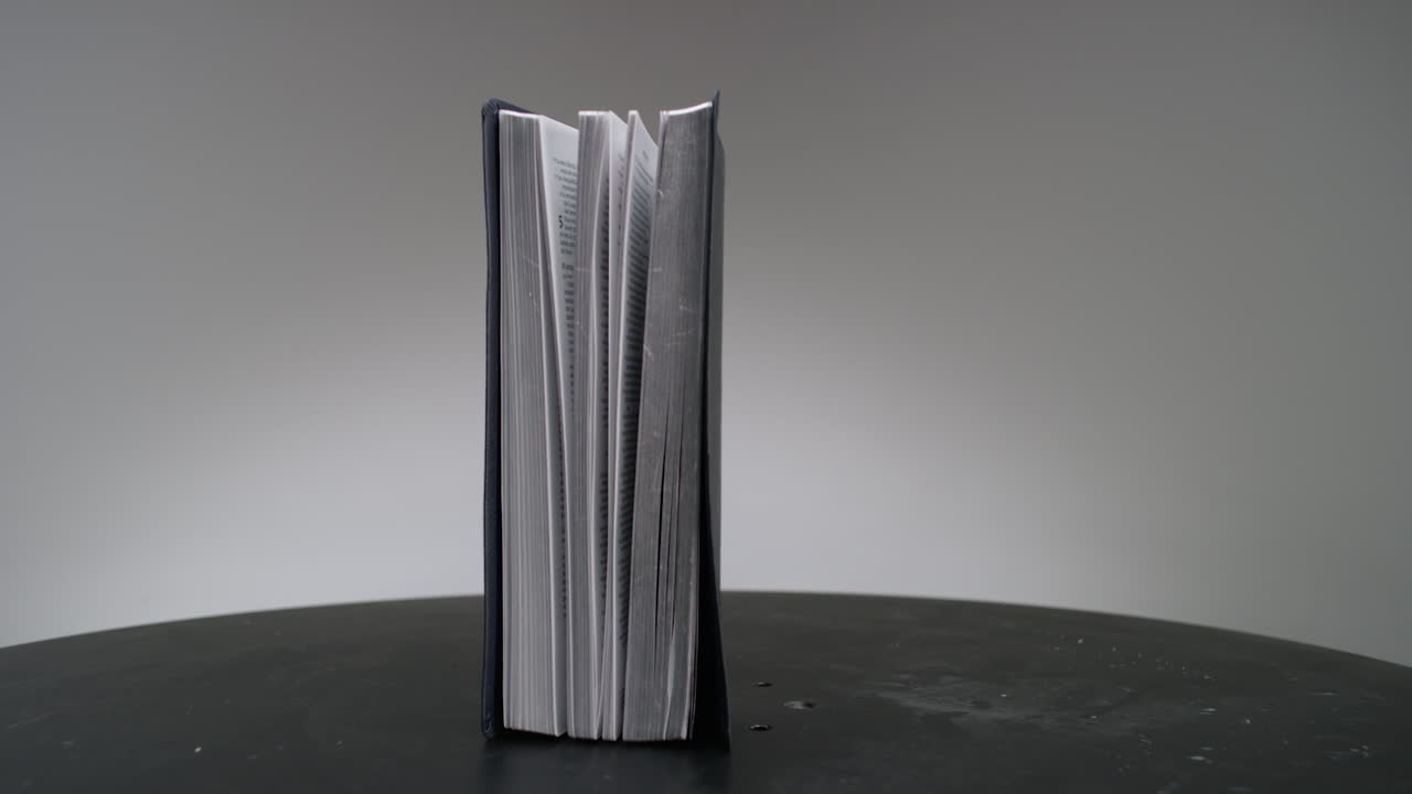 Holy Bible Scripture Word of God Christian Bible