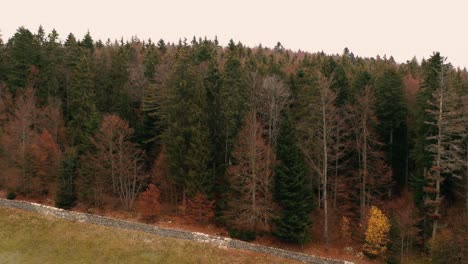 drone fly over of a misty autumn forest in the jura mountains in switzerland