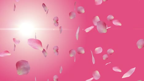 fondo de san valentín con pétalos de rosas que caen