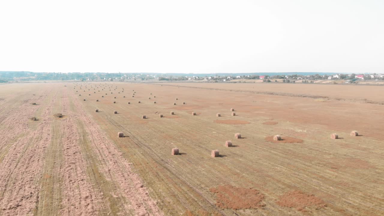 Hay field with round haystacks. Haystacks on wheat farm field. Rural wild nature. Harvesting at countryside. Agronomy and agricultural concept