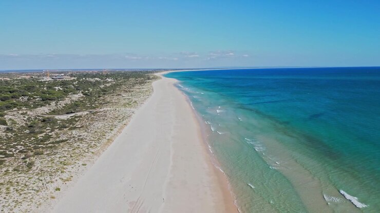 Vista aerea scorre lungo una spiaggia sabbiosa deserta e un mare turchese con vegetazione costiera.