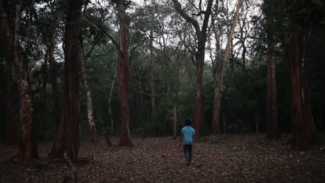 man walking in the forest in india