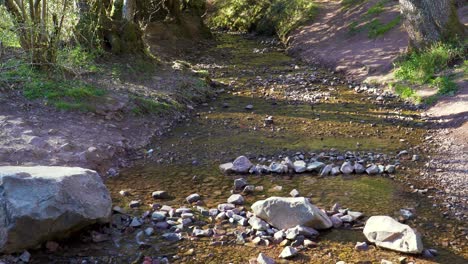 4K-water-flowing-down-in-a-small-creek-in-the-middle-of-the-great-woods-in-the-quantock-hills-somerset-englang