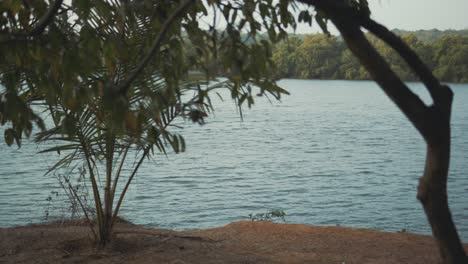 a view of a river in india flowing - a view of the flowing river behind the trees