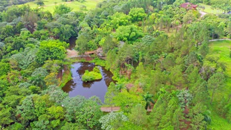 dense forest with peaceful lake in tropical town of jarabacoa in la vega province, dominican republic