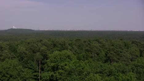 berlín grunewald con teufelsberg y la ciudad de berlín en la parte de atrás, alemania