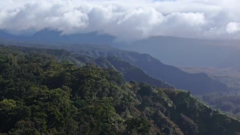 bosque exuberante en la costa norte de maui con nubes sobre las montañas