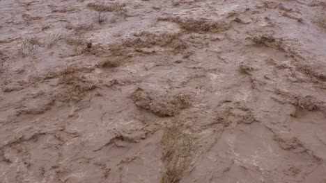 Hochwasser,-Das-Sich-Schnell-Den-Ventura-Fluss-In-Der-Nähe-Von-Ojai-Kalifornien-Hinunter-Bewegt,-Mit-Sturmabfluss-Während-Der-Winterwetterüberschwemmung-2