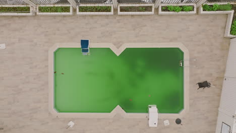 aerial top down footage of a pool that slowly reveal the ocean crashing against the rocks in sierra leone