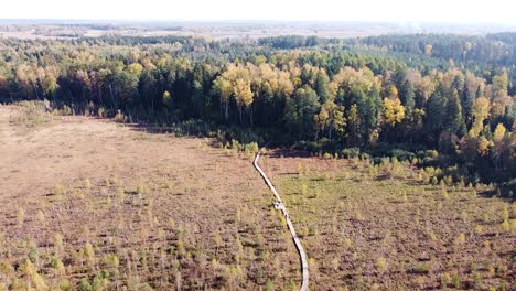 Wooden-pathway-through-swampy-moorland-of-Dubrava-in-Lithuania,-high-altitude-drone-shot