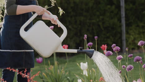 gardener watering flowers in his garden, beautiful blooming garden. 4k video